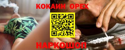крисы Новокубанск