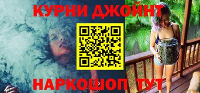 крисы Новокубанск