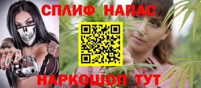 крисы Новокубанск