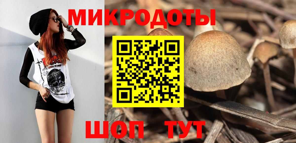 Туапсе  Галлюциногенные грибы Psilocybe  Вход с VPN 